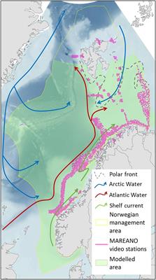 Discerning the Management-Relevant Ecology and Distribution of Sea Pens (Cnidaria: Pennatulacea) in Norway and Beyond